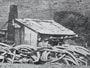 Kaikōura whaling station