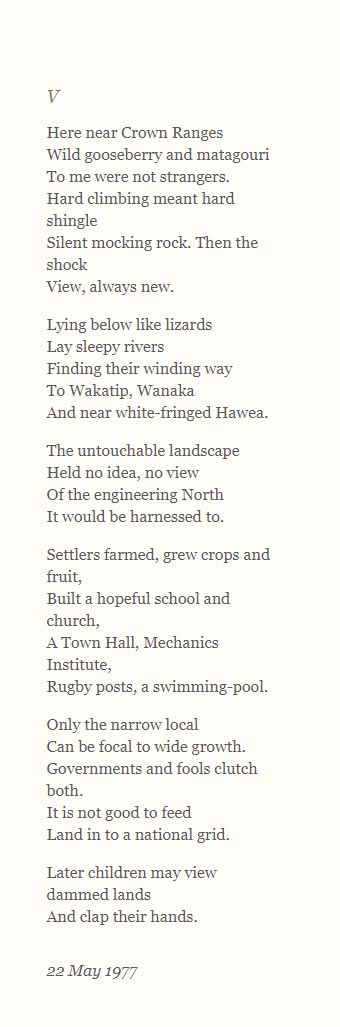 ‘Clutha V’ by Denis Glover