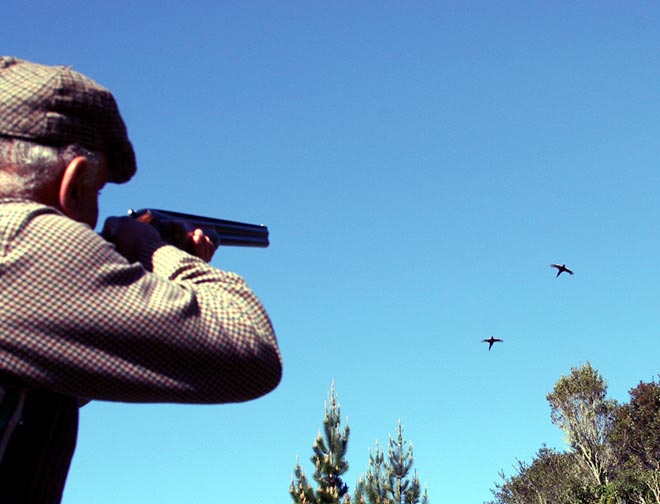 Hunting in a game preserve