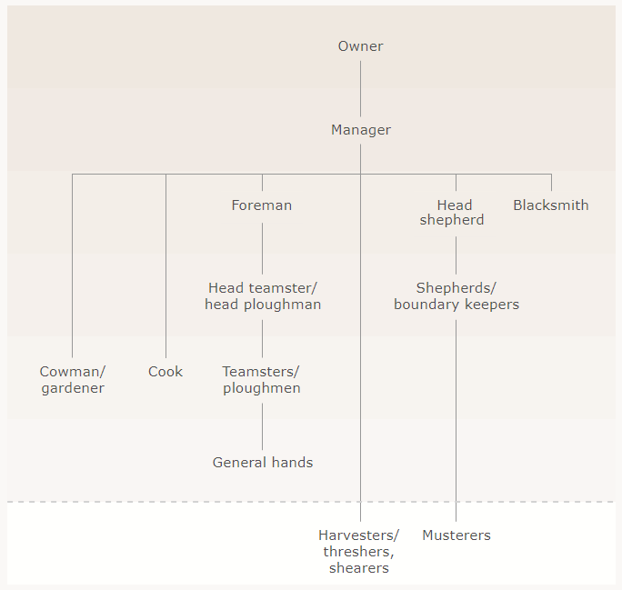 Hierarchy of staff