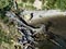 Collapsed cliff at Ōmokoroa Point, Bay of Plenty