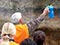 Students examine a soil profile