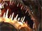A humpback anglerfish