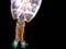 The tiny zooplankton Neocalanus tonsus