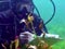 Scuba diving for scientific investigation