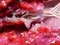 Lungworm in a deer trachea