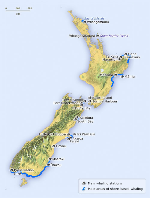Map of New Zealand with sites of whaling stations and activity marked with symbols of houses and blue lines