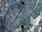 Stone fence post, Central Otago
