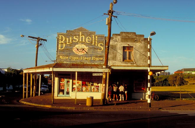 Wellington St dairy