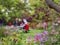 Glenfalloch garden, Otago