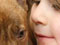 Adopting a puppy from the Auckland SPCA