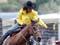 The barrel race