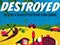 Book cover – Heritage destroyed, by J. T. Salmon