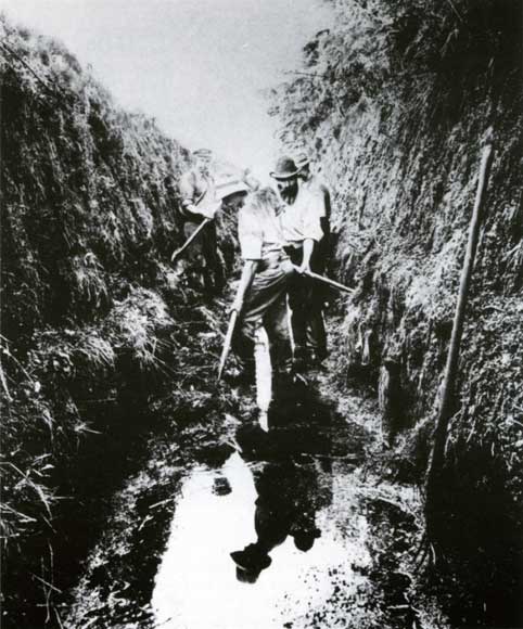 Digging a drain