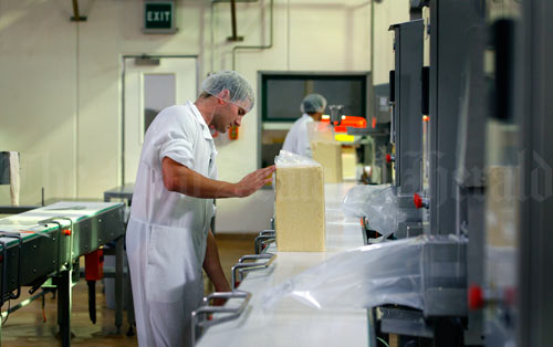 Blocks of cheese