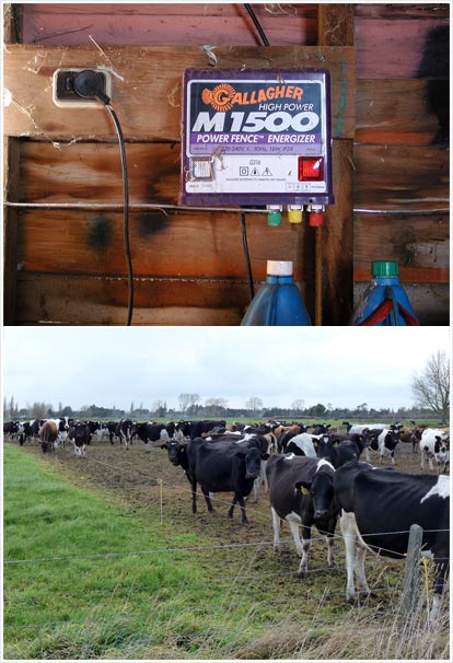 Electric fence