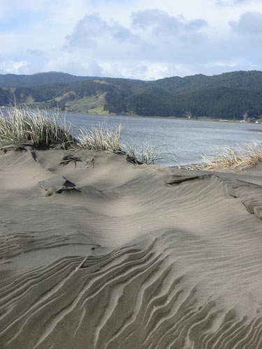 Sand dune
