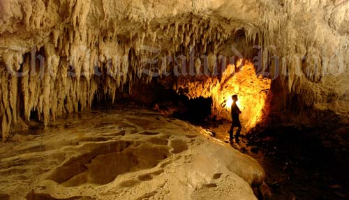 Nīkau Cave