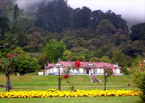 Te Aroha Domain