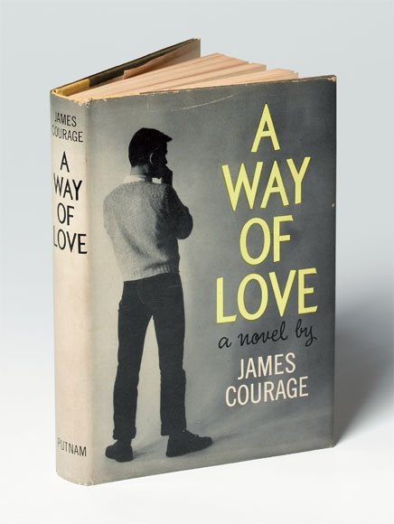 Gay novel