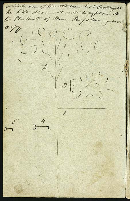 Dream of Te Nākahi