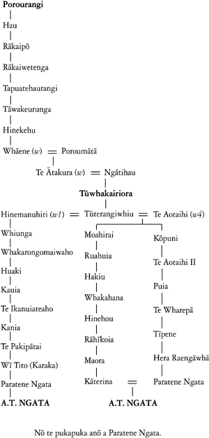 Whakapapa of Paratene Ngata and Apirana Turupa Ngata