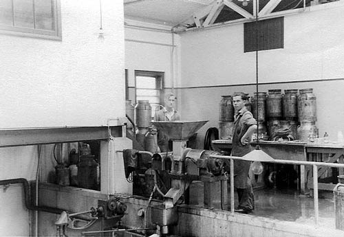 Glaxo vitamin A plant, Island Bay, Wellington