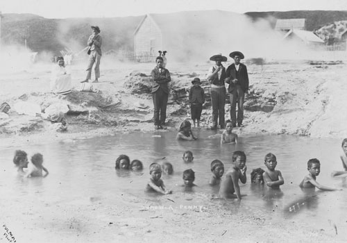 Penny divers, Whakarewarewa