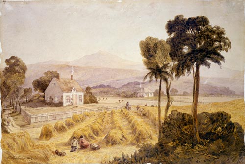 Jollie's farm at Wakapuaka