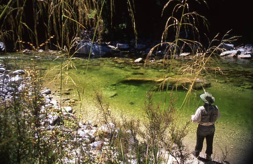 Fly fishing