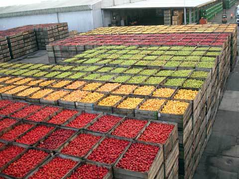 Apples: apple crates