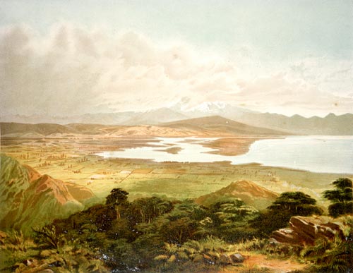 Waimea Plains: looking north-west