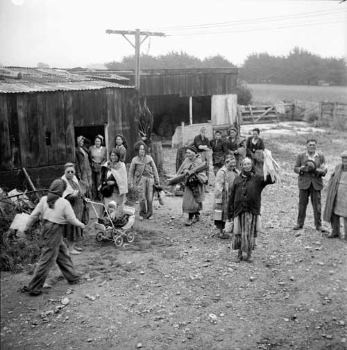 Gardening for the war effort