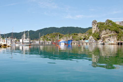 Tarakohe harbour
