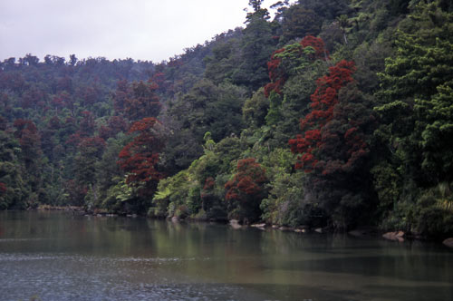 Whanganui Inlet