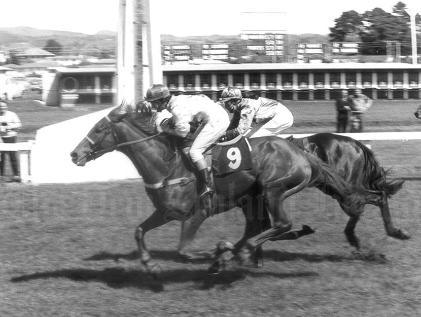 Race winner