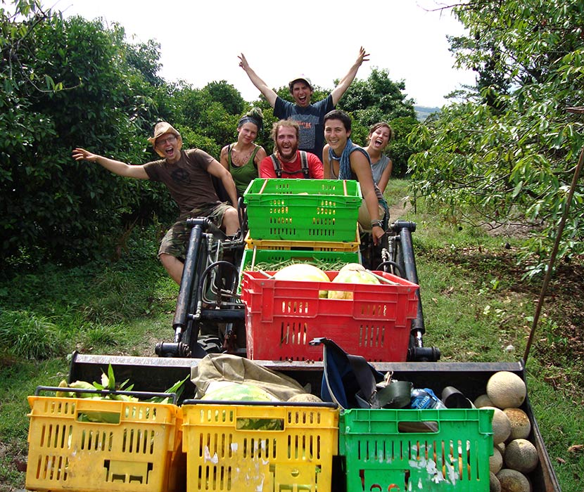 Wilderland in the 2000s