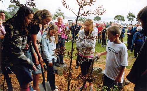 Kauri 2000