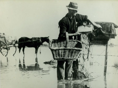 Flooding near Paeroa, 1936
