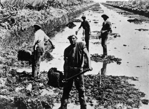 Land drainage operations, Hauraki Plains