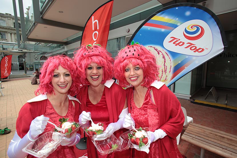 Hospice fundraising