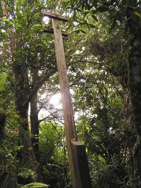 Old Wires Track: restored telegraph pole
