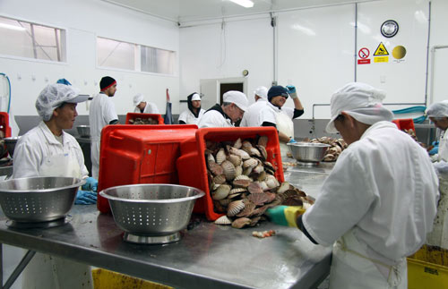 Seafood industry