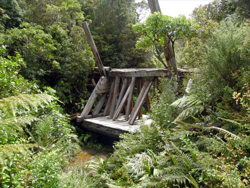 Dancing Camp Dam 
