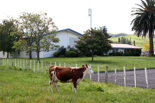 Mormon chapel, Hawke's Bay