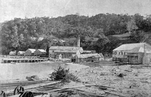 Whangapoua timber mill
