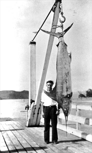 Super-sized swordfish