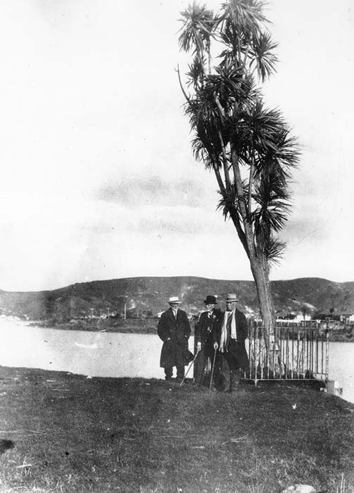 James Carroll with his whenua tree