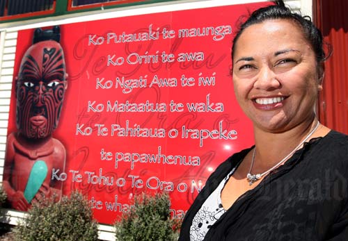 Māori health workforce