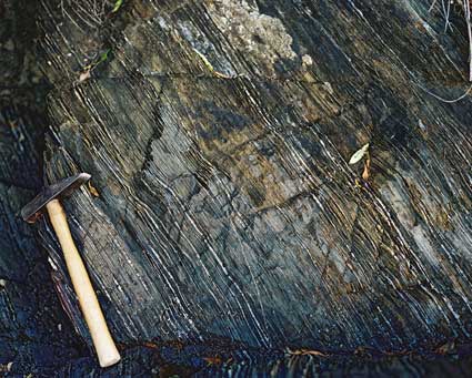 Schist in Marlborough